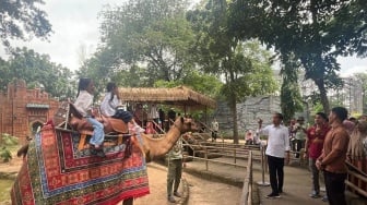 Jokowi Boyong Istri dan Semua Cucu Libur Akhir Tahun ke Solo Safari: Anak Masih Kerja Semua!