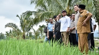 Kunjungi Peneliti Bibit Padi dan Kedelai Unggul di Banten, Mardiono Optimis Wujudkan Swasembada Pangan