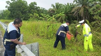 Diduga Tertabrak, Macan Akar Ditemukan Mati di Tol Pekanbaru-Dumai