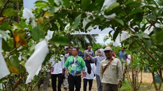 Menikmati Sensasi Wisata Buah Segar di Long Kali, Pusat Pertanian Kaltim