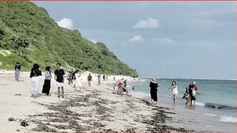 Pantai Timbis, Destinasi Wisata Para Pendamba Ketenangan