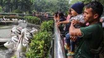 Libur Panjang Imlek, Margasatwa Ragunan Targetkan Pengunjung Tembus 100 Ribu Orang