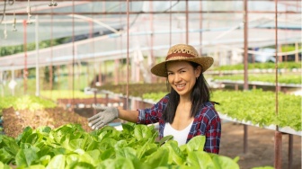 Anak Muda Indonesia, Kenapa Banyak yang Tak Mau Jadi Petani?