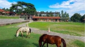 Kuntum Farm Field, Objek Wisata Rekreasi Sekaligus Edukasi di Bogor