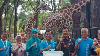 Rajaka, Nama Bayi Jerapah Pembuka 5 Abad Kota Jakarta