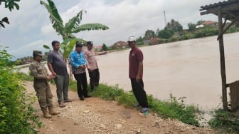 20 Hektare Sawah di Pringsewu Terendam Banjir, Petani Terancam Gagal Panen