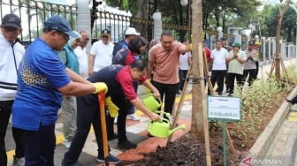 Puluhan Pohon Tabebuya Ditanam di Sepanjang Jalan Senen Raya Jakarta Pusat