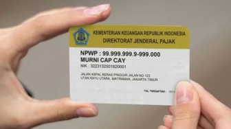 Panduan Lengkap Daftar NPWP Online via Ereg dan Dokumen yang Dibutuhkan