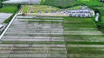 Foto udara kompleks perumahan yang berdiri di dekat area persawahan kawasan Wonoayu, Sidoarjo, Jawa Timur, Minggu (12/1/2025). [ANTARA FOTO/Umarul Faruq/foc]