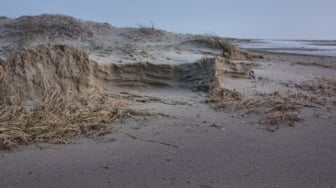 Cara Cegah Abrasi Pantai, Benarkah dengan Membangun Pagar Laut?