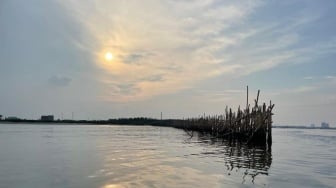 Pagar Laut Muncul di Sekitar Pulau C Reklamasi, Pemprov DKI Cari Pemiliknya