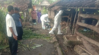 Bupati Gunungkidul Pastikan PMK Terkendali hingga Pilih Tak Tutup Pasar Hewan: Kita Sudah Biasa