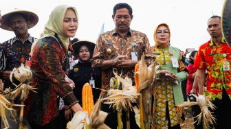 Panen Raya Jagung 4.624 Ton di Grobogan, Jateng Siap Jadi Lumbung Pangan Nasional!