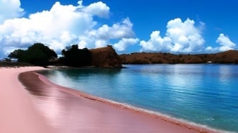 Menikmati Pesona Pantai Pink Lombok yang Memiliki Pasir Warna Merah Jambu