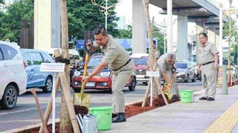 Pemprov DKI Tanam Puluhan Ribu Pohon di Sepanjang 2024