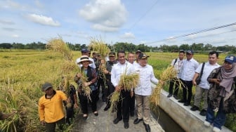 Kementerian Pertanian Anggarkan Rp12 Triliun untuk Bangun Irigasi 2 Juta Hektare Sawah