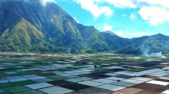 Bukit Selong, Tempat Wisata Alam Terbaik untuk Menyaksikan Megahnya Gunung Rinjani