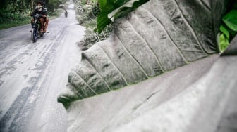 Pengendara sepeda motor melintas di jalan umum yang tertutup abu vulkanik dampak erupsi Gunung Ibu di Desa Tobaro, Kabupaten Halmahera Barat, Maluku Utara,Rabu (15/1/2025). [ANTARA FOTO/Andri Saputra/foc]