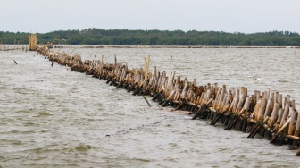 Penampakan pagar laut yang berada di kawasan perairan Tarumajaya, Bekasi, Jawa Barat, Kamis (16/1/2025). [Suara.com/Alfian Winanto]