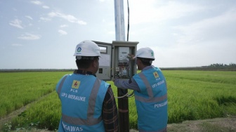 Dukung Tranformasi Pertanian Modern, Electrifying Agriculture PLN Raih 53.539 Pelanggan Baru di Tahun 2024