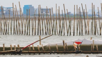 Siapa Dalang di Balik Pagar Laut Tangerang? Kejagung Siap Bongkar Jaringan Korupsi SHGB