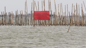 Spanduk penyegelan yang terpasang di pagar laut yang dibuat menggunakan bambu di Tarumajaya, Bekasi, Jawa Barat, Kamis (16/1/2025). [Suara.com/Alfian Winanto]