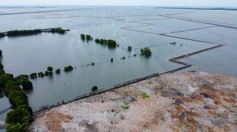 Foto udara daratan dan pagar laut yang berada di kawasan perairan Tarumajaya, Bekasi, Jawa Barat, Kamis (16/1/2025). [Suara.com/Alfian Winanto]