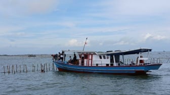 Heboh! Pagar Laut di Tanjung Pasir Dibongkar TNI AL dan Warga