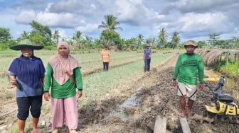 Dari Isano Mbias untuk Indonesia: BRI Dukung Petani Lokal Berdaya, Swasembada Pangan Terjaga