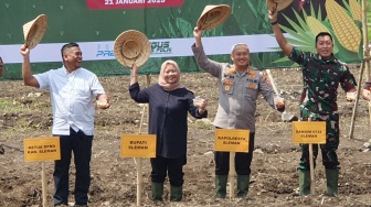 Lahan Bekas Batako Disulap Jadi Ladang Jagung, Sleman Mulai Program Tanam Jagung