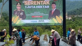 Pemkab dan Polres Tasikmalaya Manfaatkan Lahan Kering untuk Tanaman Jagung