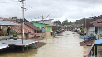 Banjir Meluas di Kalimantan Barat, 33.485 Jiwa Terdampak di Empat Wilayah