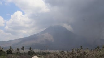 Minta Warga Tak Beraktivitas di Sekitar Gunung Lewotobi, PLN Matikan Listrik Tiap Malam