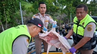 Dari Lampung ke Tangerang, Ribuan Kilo Daging Babi Ilegal Disita di Bakauheni