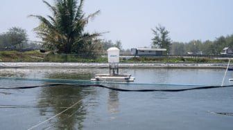 Dituding Punya Utang Bank, Manajemen eFishery Sebut Semua Kewajiban Telah Tuntas