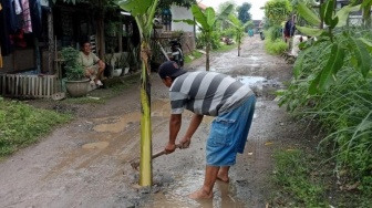 Puluhan Tahun Dibiarkan Rusak, Warga Mojokerto 'Sulap' Jalan bak Kebun Pisang