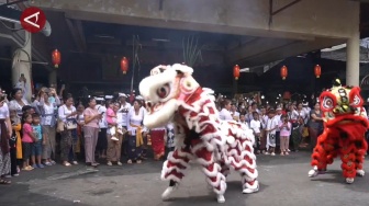 Meriah! Barongsai Ramaikan Perayaan Puncak Karya di Pura Melanting Sambut Imlek