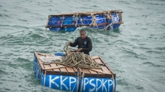 Seorang Taruna Politeknik Ahli Usaha Perikanan (AUP) berada di papan apung yang digunakan untuk operasi pencabutan pagar laut di kawasan pesisir Pantai Citius, Kabupaten Tangerang, Banten, Selasa (28/1/2024). [ANTARA FOTO/Putra M. Akbar/gp/Spt]