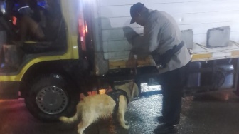 Libur Panjang, Polisi & Anjing Pelacak Sisir Pelabuhan Bakauheni Buru Narkoba