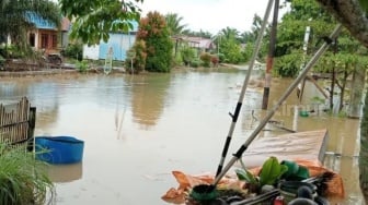 Banjir Belum Surut, Buaya Berkeliaran, Warga Desa Santan Tengah Terjebak Tanpa Bantuan