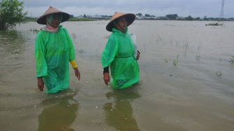 Warga berjalan menerobos jalan yang tergenang banjir di Dukuh Karangturi, Desa Setrokalangan, Kaliwungu, Kudus, Jawa Tengah, Jumat (31/1/2025). [ANTARA FOTO/Yusuf Nugroho/foc]