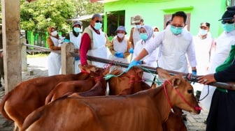 Tetapkan Status Darurat PMK, Pj. Gubernur Jatim Imbau Penanganan Dilakukan Cepat dan Holistik