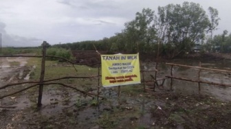 Mangrove Dibabat, Tanah Dikavling: Polda Sulsel Selidiki Dugaan Pelanggaran di Maros