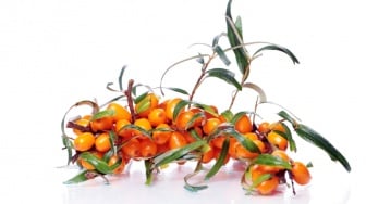 Manfaat Sea Buckthorn dalam Perawatan Kulit: Rahasia Kulit Sehat dan Terawat