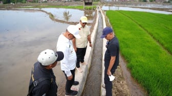 Panen Makin Sering, Pasar Makin Ramai di Bulukumba