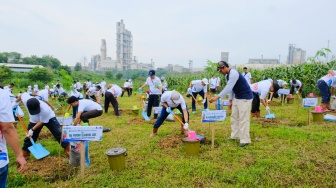 Dorong Energi Ramah Lingkungan, Semen Gresik Tanam 1.000 Pohon Kaliandra untuk Biomassa