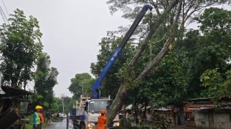 Bandar Lampung Diterjang Puting Beliung, 39 Pohon Tumbang Timpa Rumah & Kafe