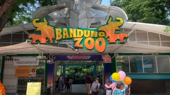 Bandung Zoo Disegel Kejati, Pemkot Pastikan Tak Ada PHK Karyawan