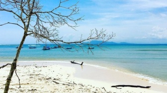 Pantai Plengkung, Wisata Alam Berpasir Putih Favorit Pencinta Surfing