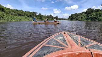 Bocah 6 Tahun Diterkam Buaya di Sungai Simpang Aur Kubu Raya, Pencarian Masih Terus Dilakukan